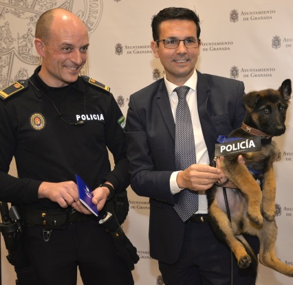 ©Ayto.Granada: El perro adoptado por la Policía Local pasa a fomar parte de la plantilla municipal como nuevo agente de seguidad ©Ayto.Granada: El perro adoptado por la Policía Local pasa a fomar parte de la plantilla municipal como nuevo agente de seguidad